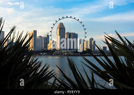 Downtown buildings and Singapore Flyer Ferris Wheel in late afternoon light, from Gardens By The bay - Singapore Stock Photo