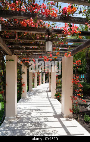 'Flowers on pergola at Tamarind Cove, Antigua' Stock Photo