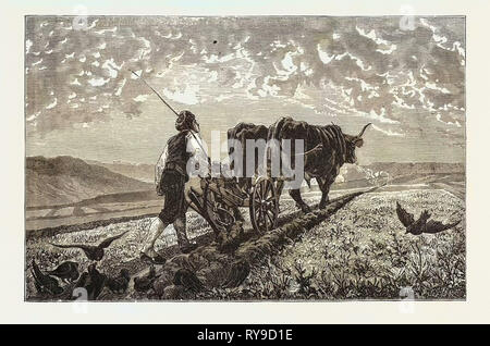 A FRENCH AGRICULTURIST Stock Photo