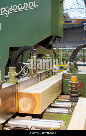 Lumber on conveyor belt in factory Stock Photo
