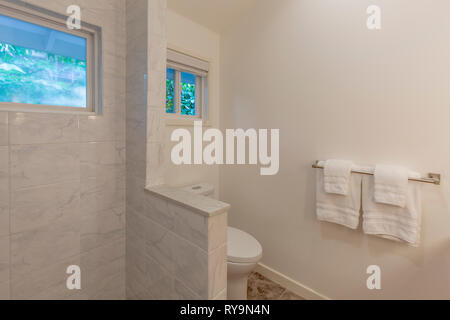Updated Bathroom interior Stock Photo