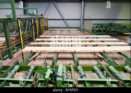 Lumber on conveyor belt in factory Stock Photo