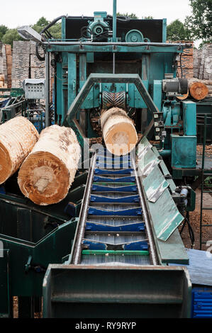 Logs on conveyor belt at lumber factory Stock Photo