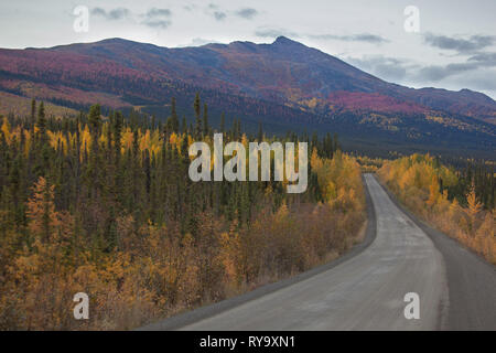 Tombstone Territorial Park, Northern Region, Yukon Territory, Canada Stock Photo