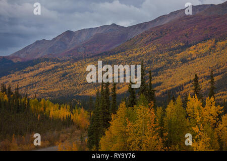 Tombstone Territorial Park, Northern Region, Yukon Territory, Canada Stock Photo