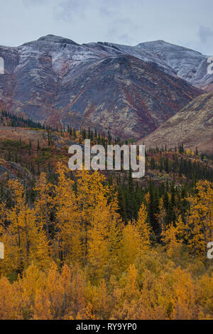 Tombstone Territorial Park, Northern Region, Yukon Territory, Canada Stock Photo