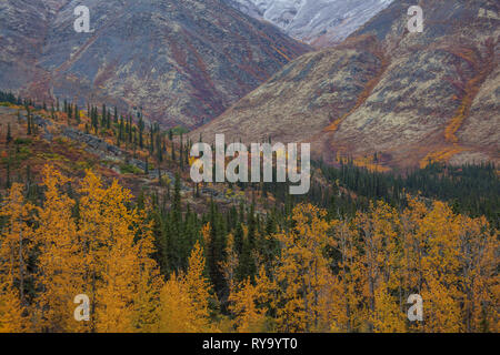 Tombstone Territorial Park, Northern Region, Yukon Territory, Canada Stock Photo