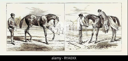 The Training of a Racehorse: Breaking the Yearling (Left), Backing the Yearling (Right), 1870 Stock Photo