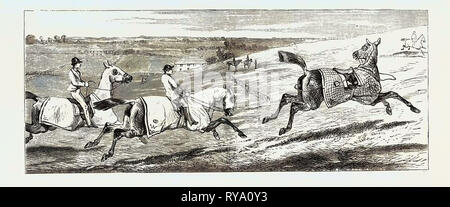 The Training of a Racehorse: The First Gallop on the Downs after the Winter, 1870 Stock Photo