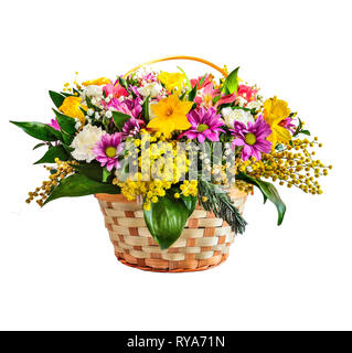 Beautiful spring bouquet of colorful flowers: yellow mimosa and daffodils, purple chrysanthemums, pink alstroemeria in wicker basket, isolated Stock Photo