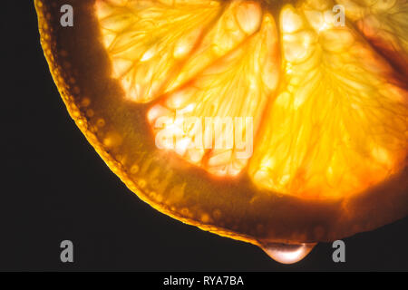 Close up photo of a thin slice of orange lit from behind. A drop of juice is hanging on the bottom side. Stock Photo