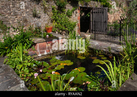 Pond and Water feature in English Garden Stock Photo