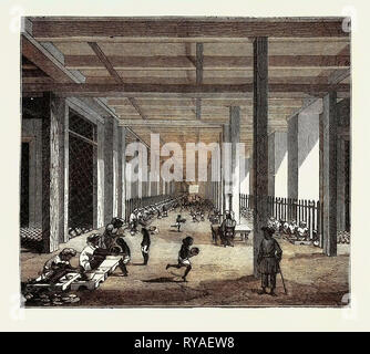 The Indo-Chinese Opium Trade, at an Opium Factory at Patna: The Balling Room Stock Photo