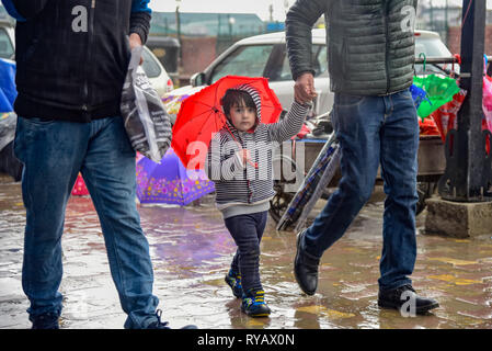 March 13, 2019 - Srinagar, Jammu and Kashmir, India - A Kashmiri boy seen walking while holding an umbrella on a rainy day in Srinagar. (Credit Image: © Idrees Abbas/SOPA Images via ZUMA Wire) Stock Photo