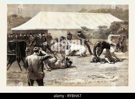 The Old English Mastiff Club Show at the Crystal Palace, London, UK, 1890 Engraving Stock Photo