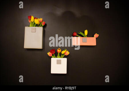 Three vases on black wall Stock Photo