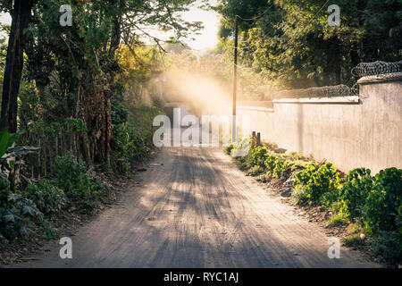 Dirtroad to a coffee plantation finca lined by trees and wall land with sunbeam, Antigua, Guatemala Stock Photo