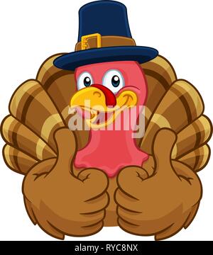 Turkey Pilgrim Hat Thanksgiving Cartoon Character Stock Vector