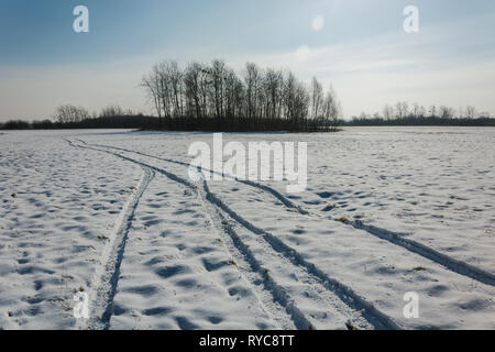 Wheel tracks on a snowy field and a group of trees - winter view Stock Photo