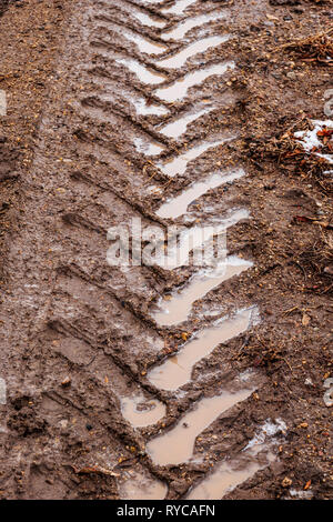 Muddy tire tracks on a ranch dirt road; central Colorado; USA Stock Photo