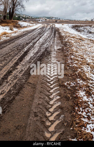 Muddy tire tracks on a ranch dirt road; central Colorado; USA Stock Photo