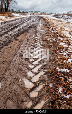 Muddy tire tracks on a ranch dirt road; central Colorado; USA Stock Photo