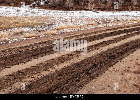 Muddy tire tracks on a ranch dirt road; central Colorado; USA Stock Photo