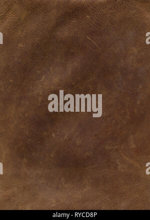 Leather, background surface Stock Photo