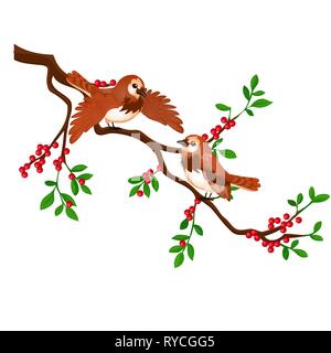 Two birds on a branch with red berries isolated on white background. Vector cartoon close-up illustration. Stock Vector