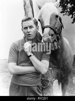 ALAN YOUNG, MISTER ED, MISTER ED, 1961 Stock Photo