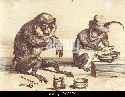 A monkey, print maker Quirin Boel, David Teniers II, 1635 1690