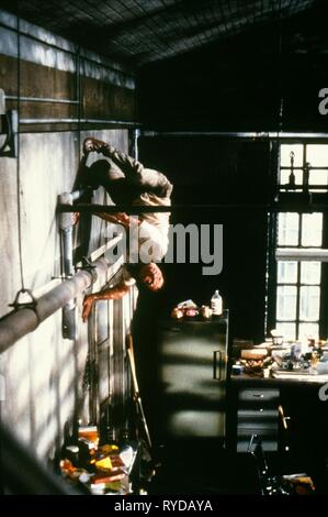 THE FLY, THE FLY, 1986 Stock Photo - Alamy