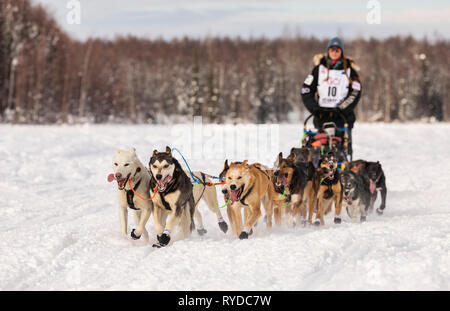 Musher Anna Berington after the restart in Willow of the 47th Iditarod Trail Sled Dog Race in Southcentral Alaska. Stock Photo