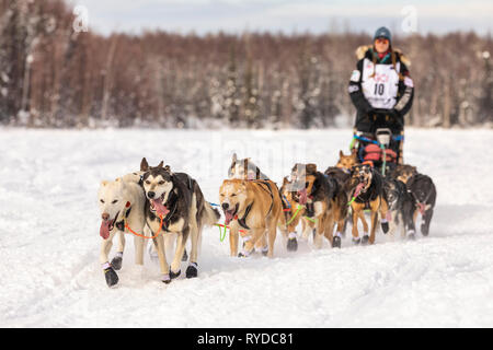 Musher Anna Berington after the restart in Willow of the 47th Iditarod Trail Sled Dog Race in Southcentral Alaska. Stock Photo