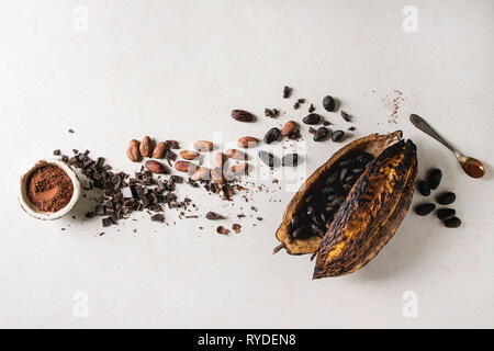 Variety of fresh and dry cocoa beans from cocoa pod with chopped dark chocolate and cocoa powder over white texture background. Flat lay, space Stock Photo
