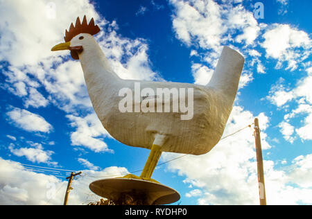 The Big Chook at Moonbi on the New England Highway near Tamworth, NSW, Australia Stock Photo