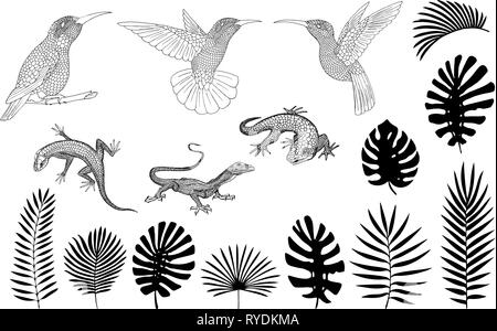 Silhouettes of lizards, gecko and tropical banana, palm, monstera leaves vector Stock Vector