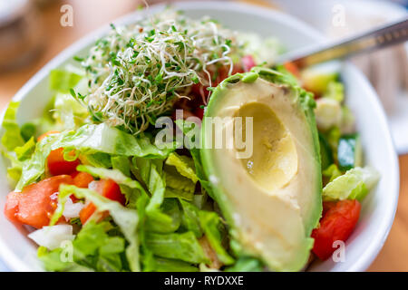 One colorful big raw vegan salad bowl with alfalfa sprouts, avocado half with red tomato lunch or dinner macro closeup and chopped lettuce Stock Photo