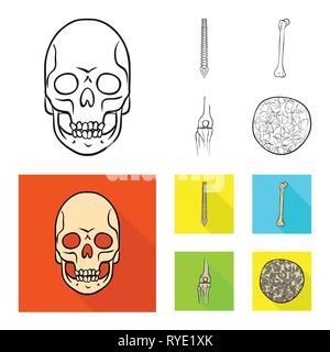 skull,spine,femur,osteoporosis,death,chiropractic,broken,bony,cell ...
