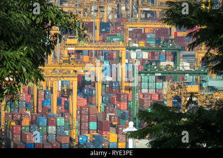 Many shipping containers stacked at PSA International Shipping Terminal, One of the world's largest - Singapore Stock Photo