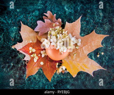 A colored shell, a broken egg with a background of yellow and red autumn leaves, dried hydrangea flowers and green marble. Easter concept, top view. Stock Photo