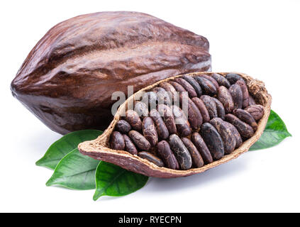 Cocoa pods and cocoa beans -chocolate basis isolated on a white background. Stock Photo