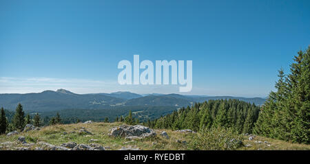 Spectacular views from the Swiss Jura mountains across to the Swiss / french alps and Mont Blanc in the far distance. Pine trees of the alpine forests Stock Photo