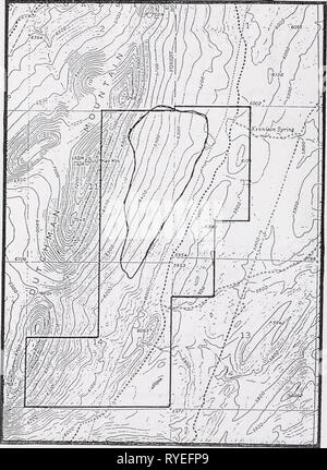 Survey for sensitive plant species on Dutchman Mountain, Beaverhead County,   dutchmansensiti00vandrich Year: 1994    Pediocactus simpsonii USGS Argenta Quad, 7.5' Stock Photo