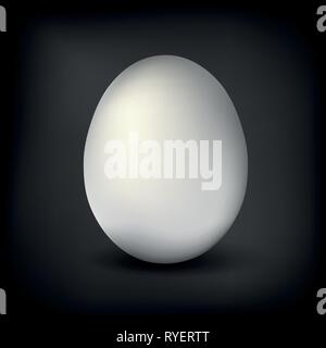 white single realistic animal egg isolated with soft shadow on black background vector illustration EPS10 Stock Vector