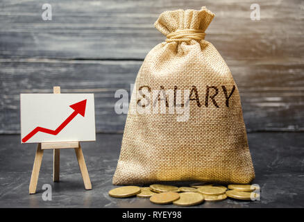 Bag with money and word Salary and up arrow and coins. Increase of salary, wage rates. Promotion. Career growth. Raising the standard of living. Incre Stock Photo