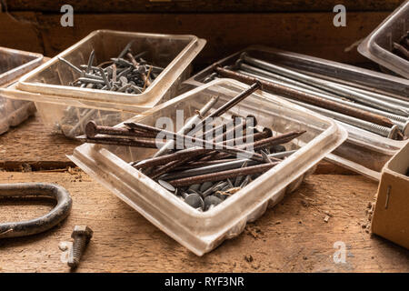 A close up of an assortment of nails and screws, some rusting on a wooden work bench, natural light Stock Photo