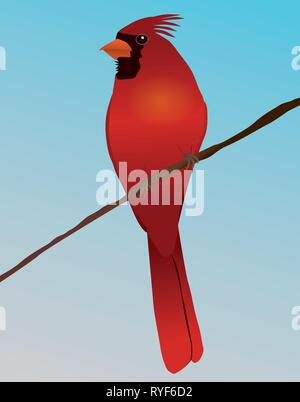 Cardinal clip art hi-res stock photography and images - Alamy