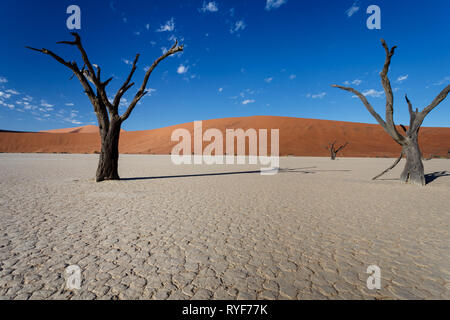 Sun shines on sand mountains behind cracked dried mud in riverbed  and a couple of dead tree trunks Stock Photo