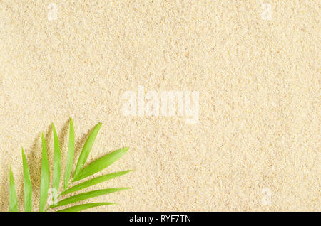 A branch of palm trees on the sand background. Sand texture Place for text. Palm leaves. Sand beach Stock Photo